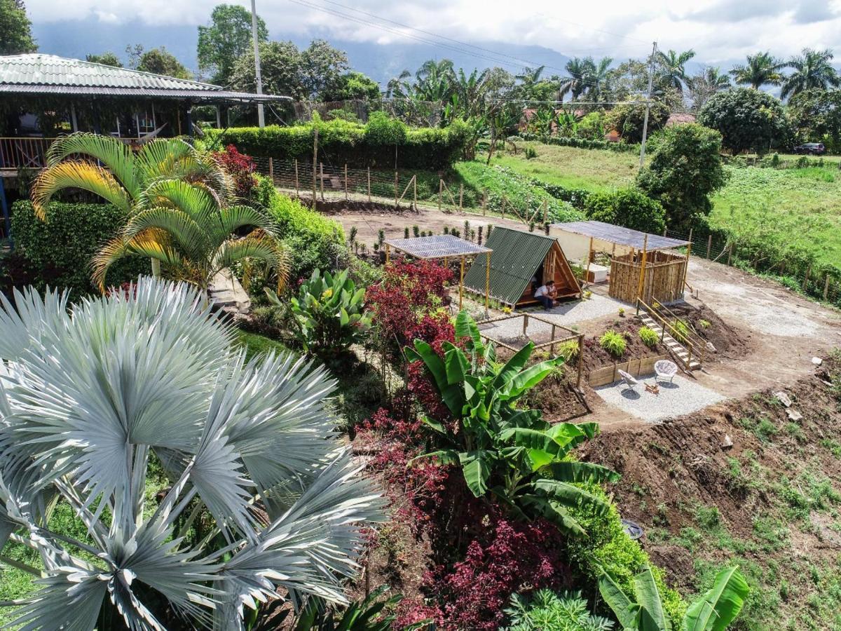 Villa Alejandra Del Quindio Calarcá Eksteriør billede